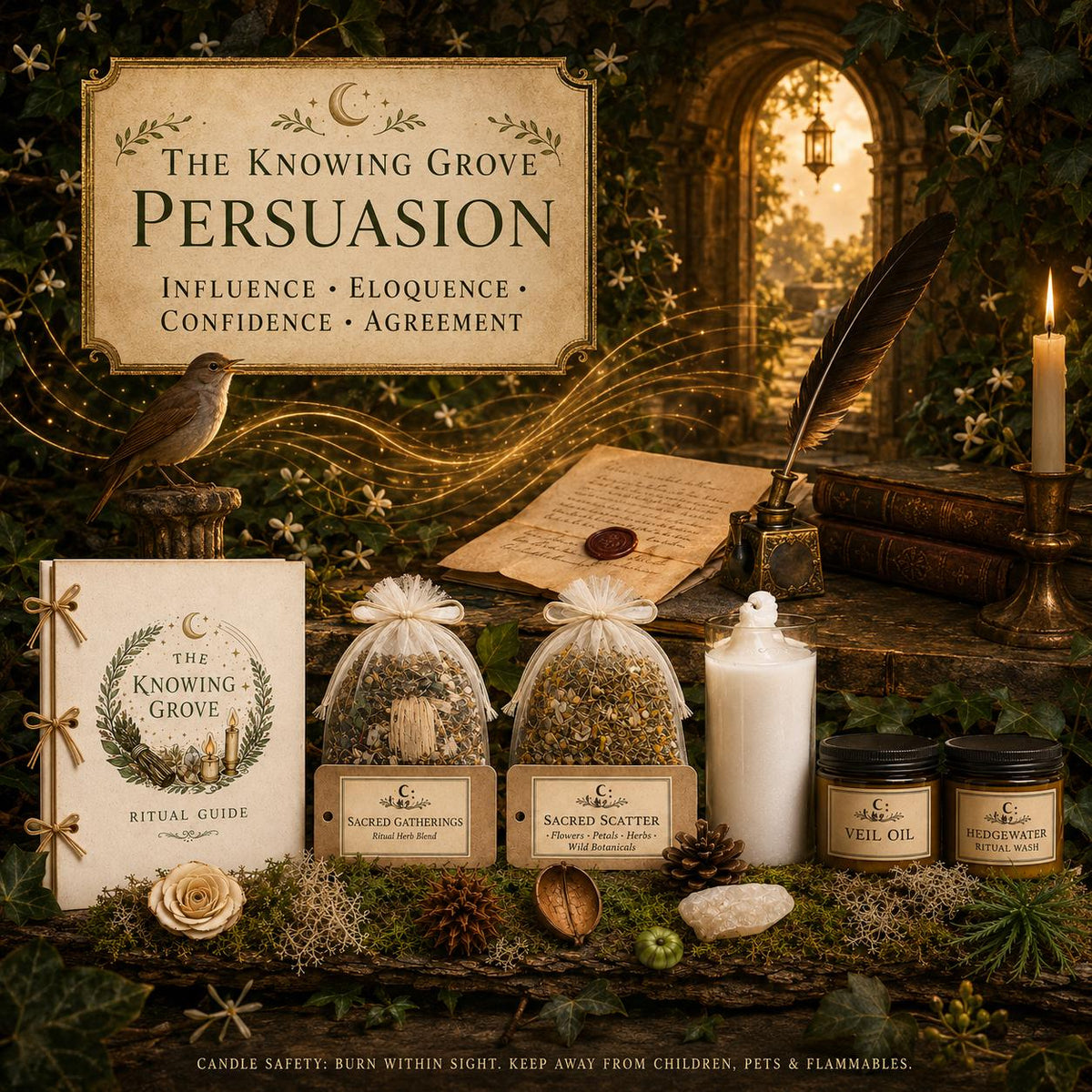 Persuasion Ritual Spellwork Kit